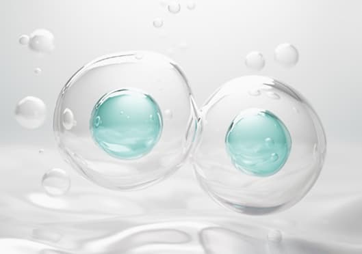 ระบบดูแลแบบ Total Anti-aging และ Wellness