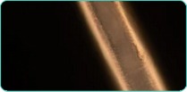 line 1 image